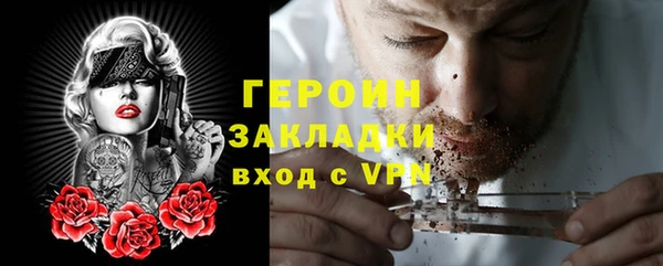 гидра Вязьма