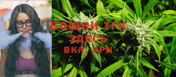 PSILOCYBIN Вяземский