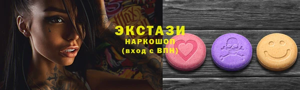 гидра Вязьма