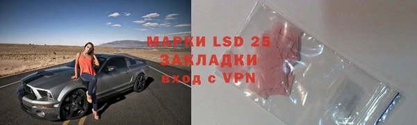 PSILOCYBIN Вяземский