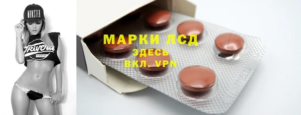 гидра Вязьма