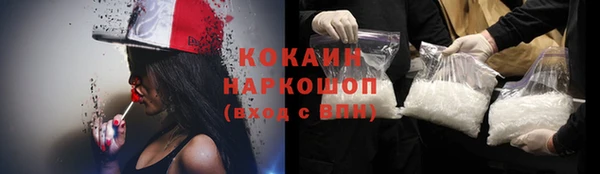 гидра Вязьма