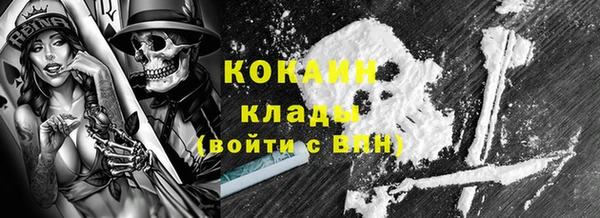 гидра Вязьма