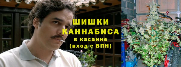 альфа пвп Горно-Алтайск