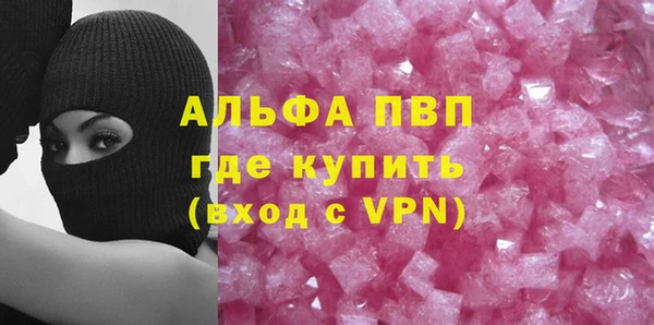 гидра Вязьма