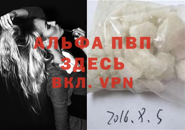 гидра Вязьма