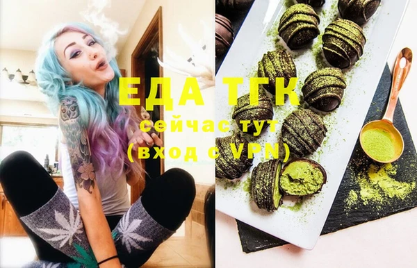 гидра Вязьма