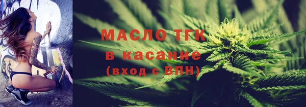 гидра Вязьма